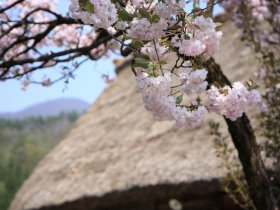 日本國外旅遊-20150126